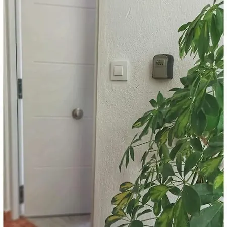 公寓 Atico En Pleno Centro De Jerez Sin Ascensor *